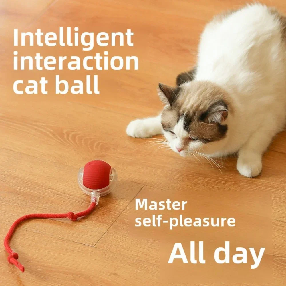 electronic ball for pets