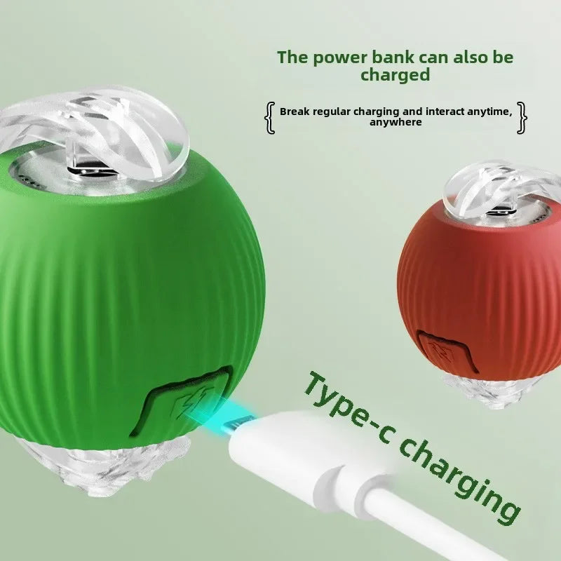 electronic ball for pets