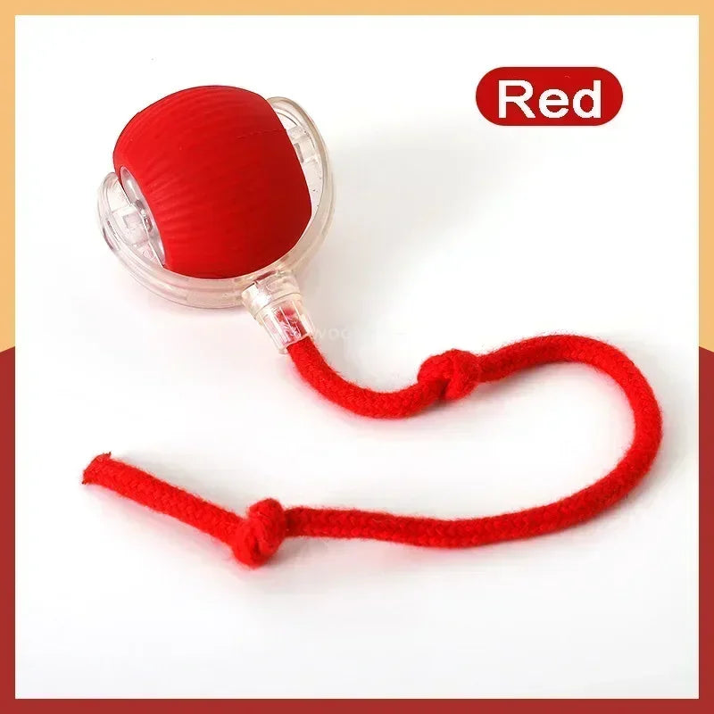 electronic ball for pets