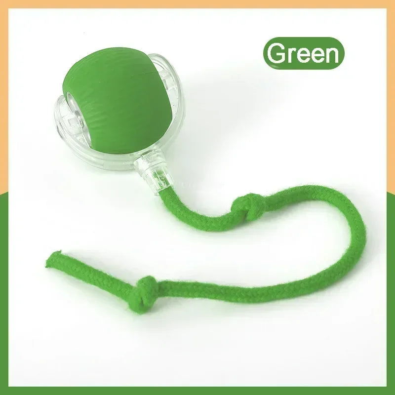 electronic ball for pets