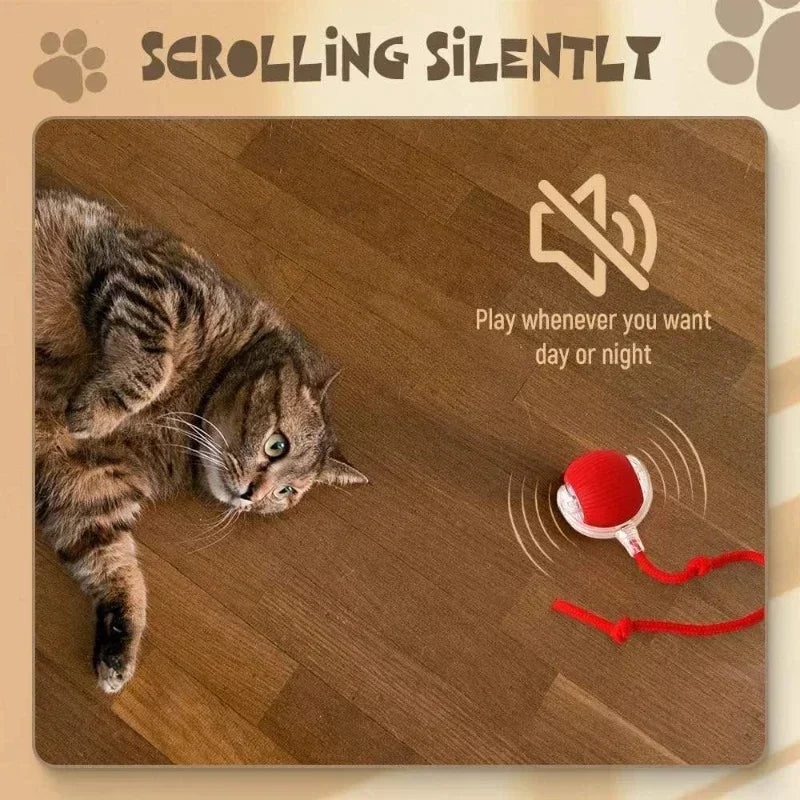 electronic ball for pets
