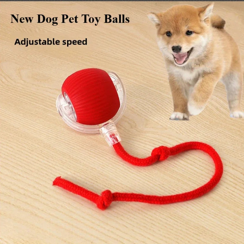 electronic ball for pets