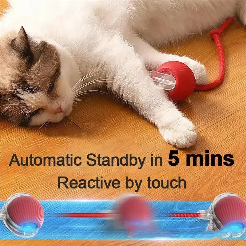 electronic ball for pets
