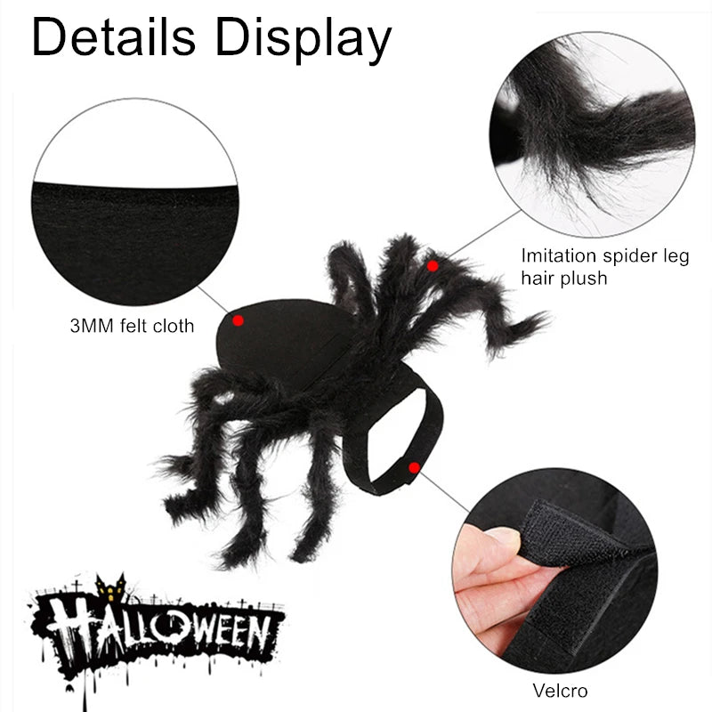 Halloween pet Clothes Funny Spider