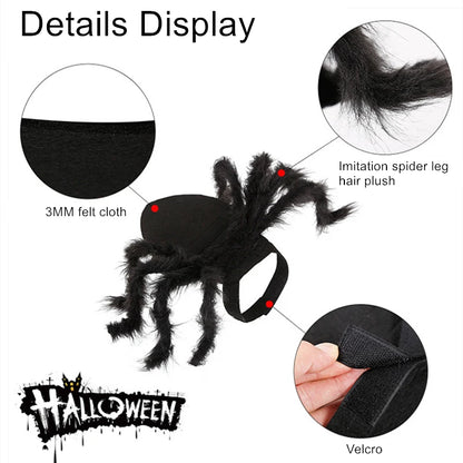 Halloween pet Clothes Funny Spider