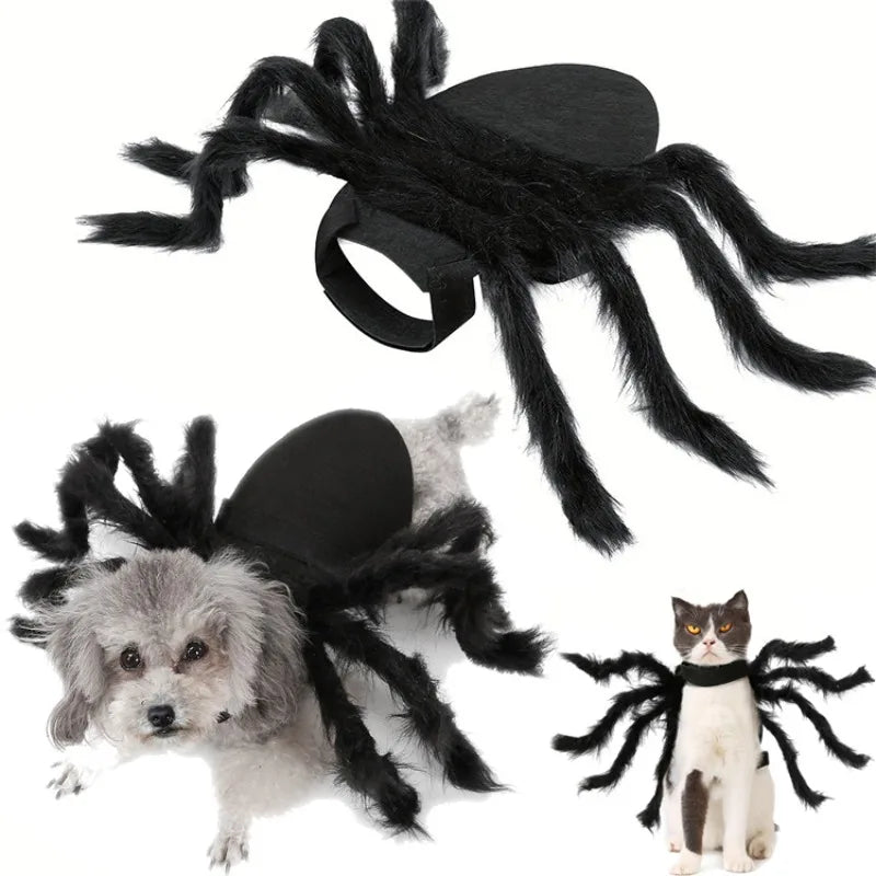 Halloween pet Clothes Funny Spider