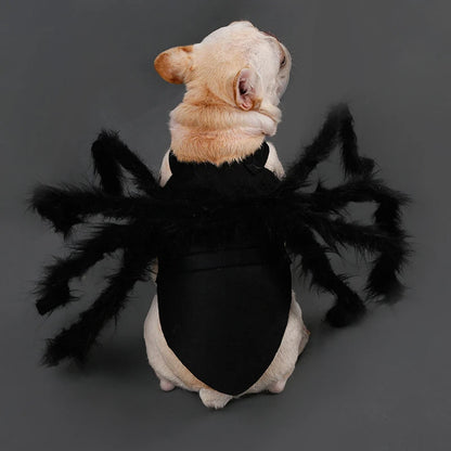 Halloween pet Clothes Funny Spider