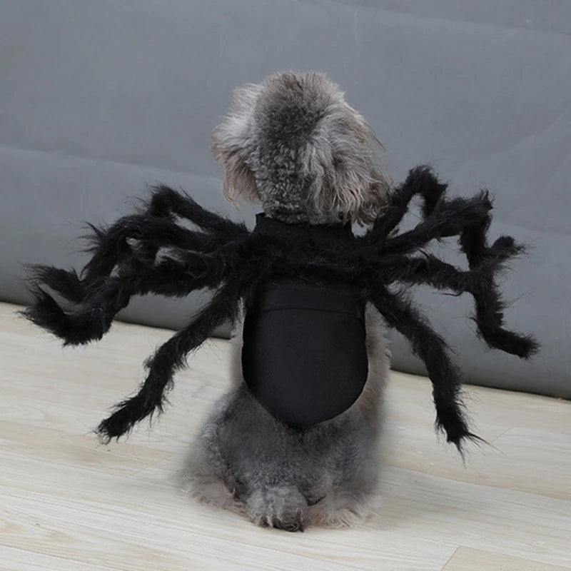 Halloween pet Clothes Funny Spider
