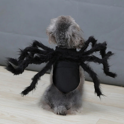 Halloween pet Clothes Funny Spider