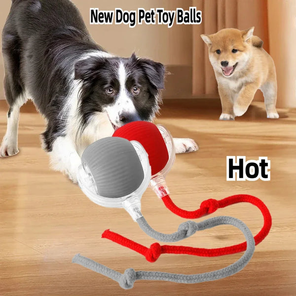 electronic ball for pets